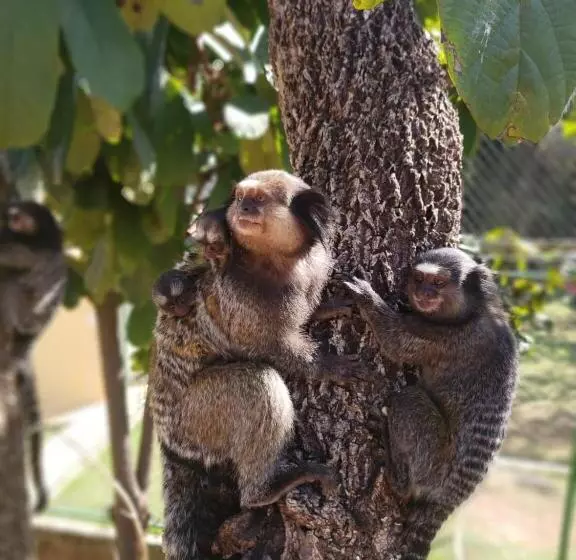 Majatalo Pousada Bella Vista