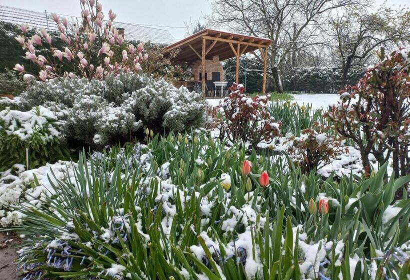 Pensão Tornácos Vendégház