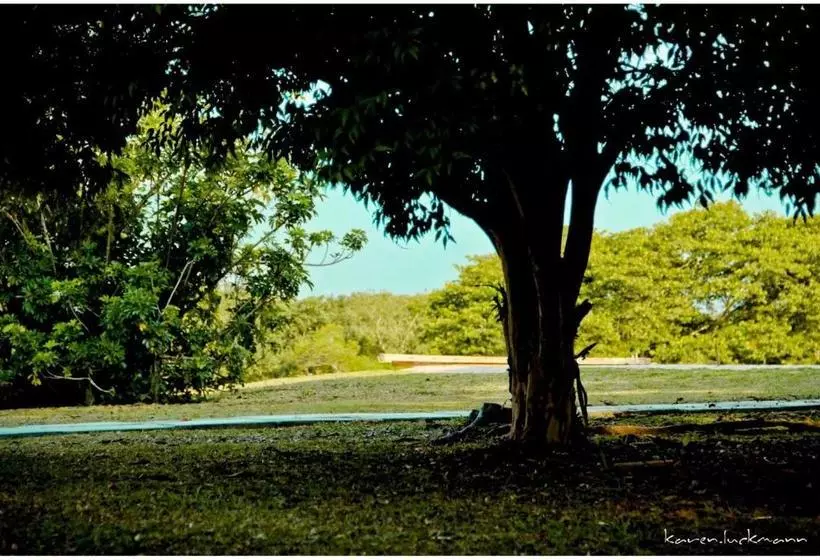 ペンション Casas Di Monte Ecopousada