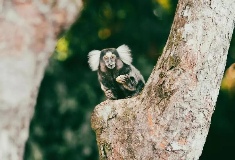 ペンション Casas Di Monte Ecopousada