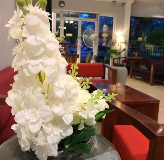 پانسیون Dodo Guesthouse