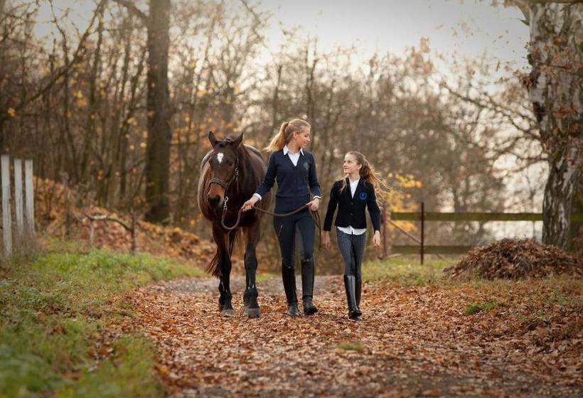 Pensjonat Dvůr Stráň