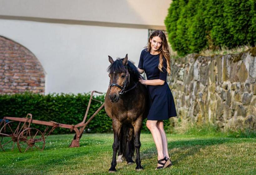 Pensjonat Dvůr Stráň