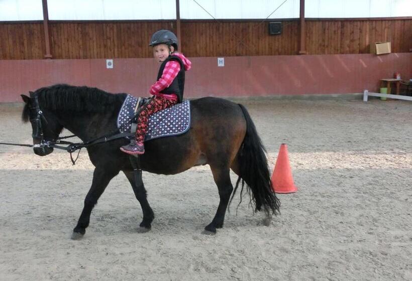 Pensjonat Dvůr Stráň