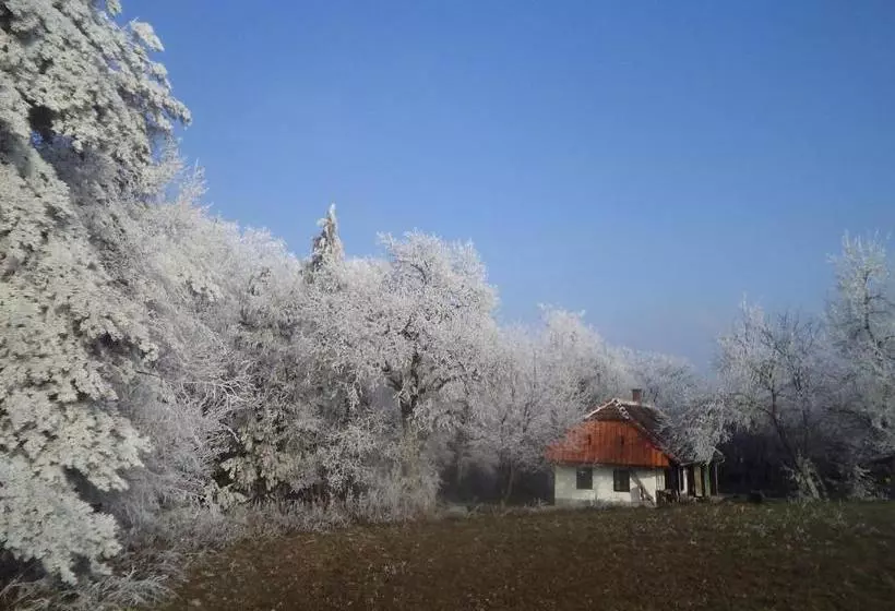 Majatalo Fecskefészek Vendégház őriszentpéter