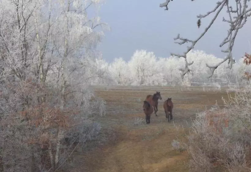 Majatalo Fecskefészek Vendégház őriszentpéter