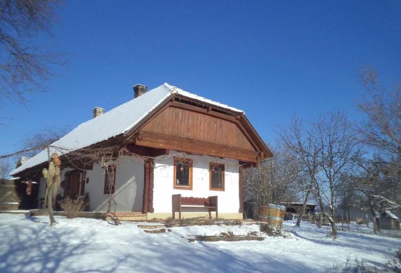 Pensionat Fecskefészek Vendégház őriszentpéter