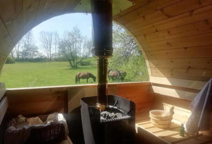 Pensionat Fecskefészek Vendégház őriszentpéter