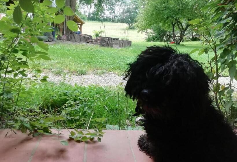 Pensionat Fecskefészek Vendégház őriszentpéter