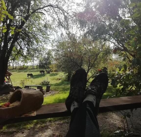 Pensionat Fecskefészek Vendégház őriszentpéter