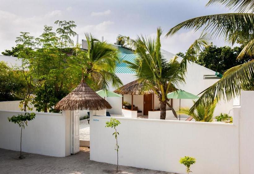 پانسیون Island Host