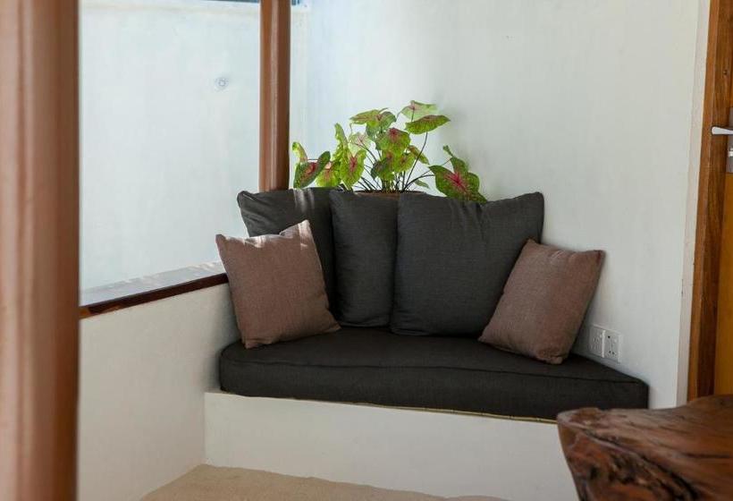 پانسیون Island Host