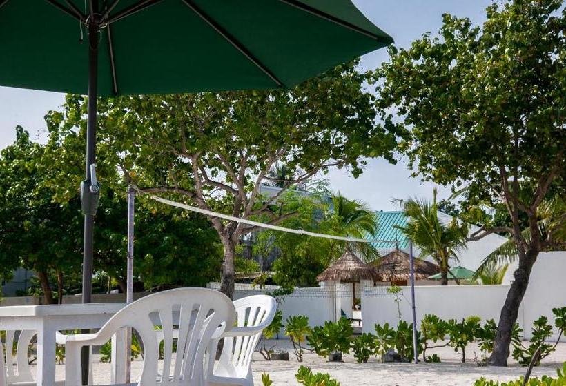 پانسیون Island Host