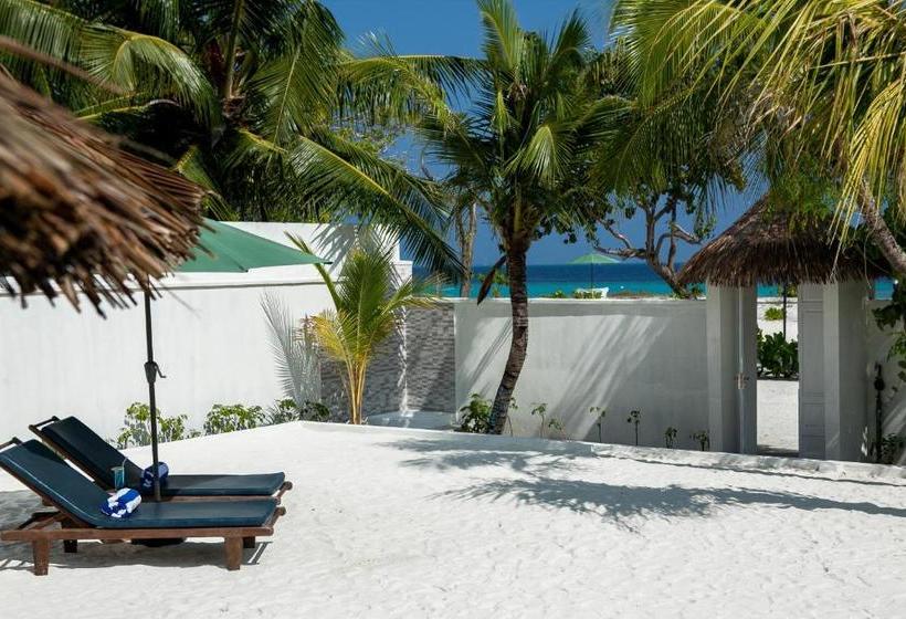 پانسیون Island Host