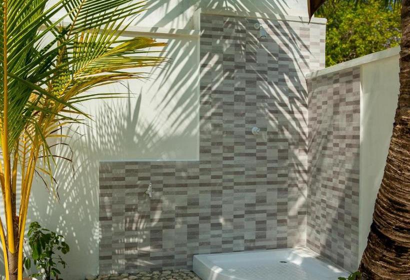 پانسیون Island Host