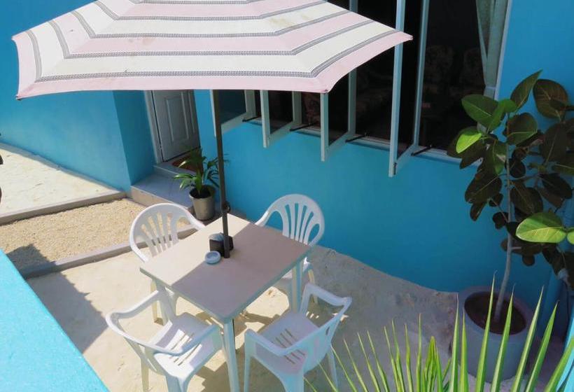 پانسیون Island Host