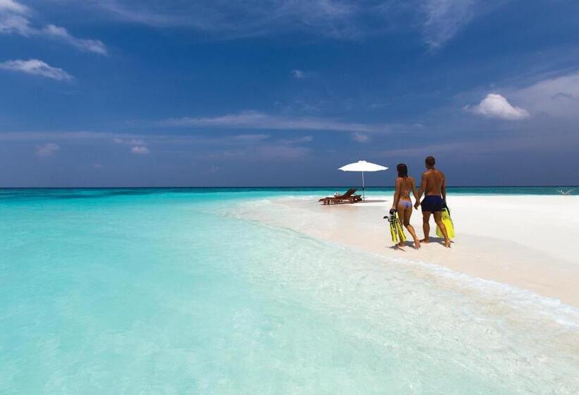 پانسیون Island Host