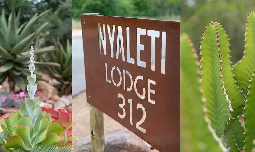 ペンション Nyaleti Lodge