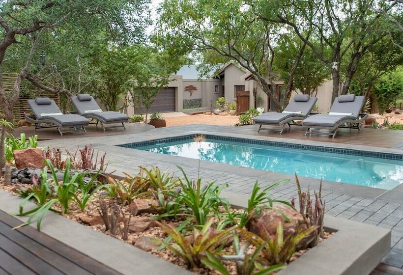 פנסיון Nyaleti Lodge