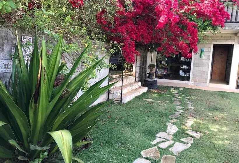 ペンション Pousada Rota Dos Pássaros