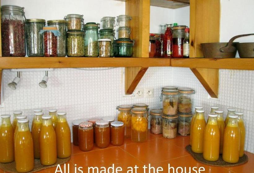 پانسیون Villa Zahra