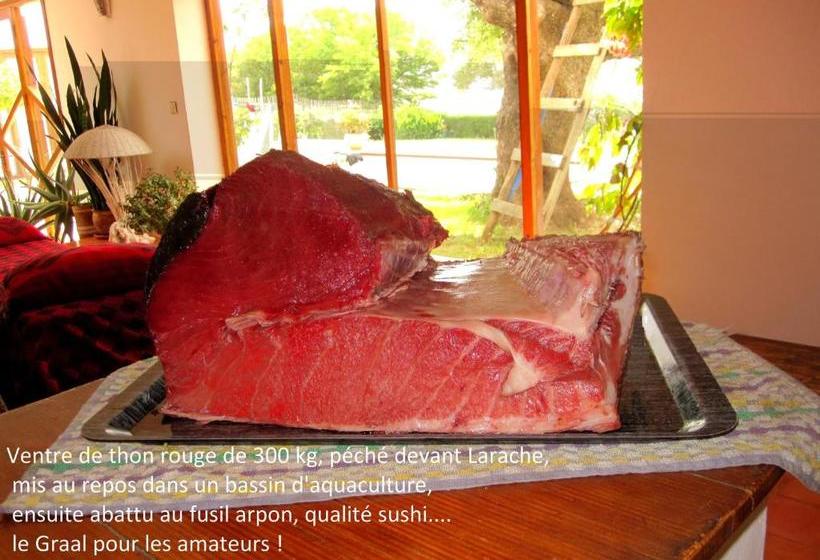 پانسیون Villa Zahra