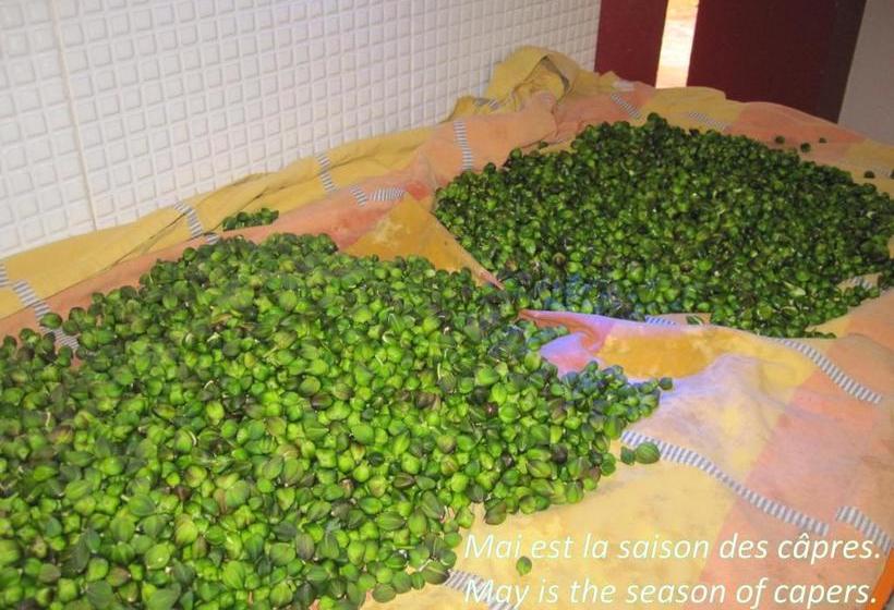 پانسیون Villa Zahra