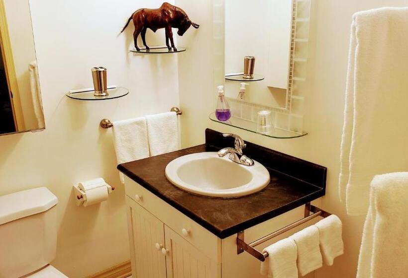 Kokomo Inn Bed And Breakfast Ottawa Gatineau S Only Tropical Riverfront B&b On The National Capital