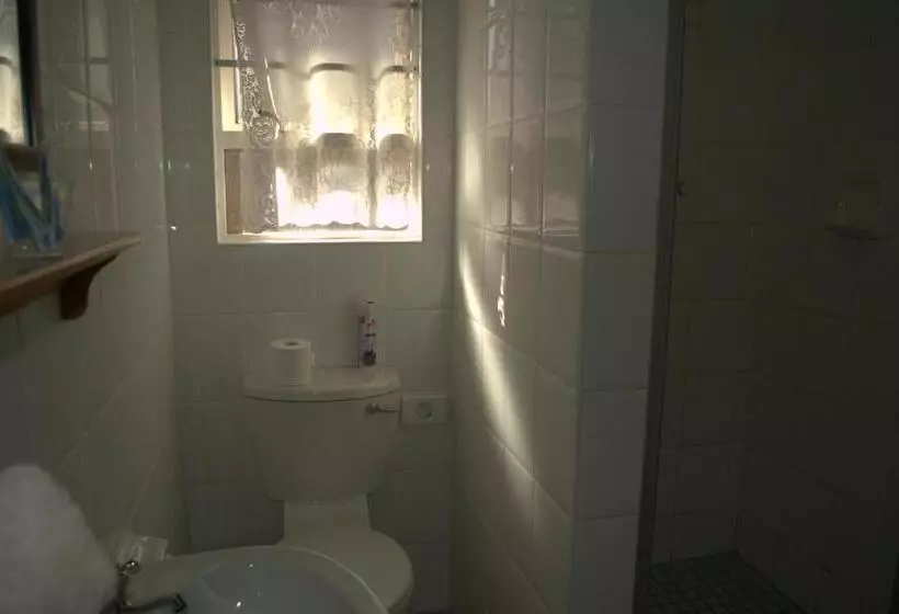 Majatalo Crowned Crane