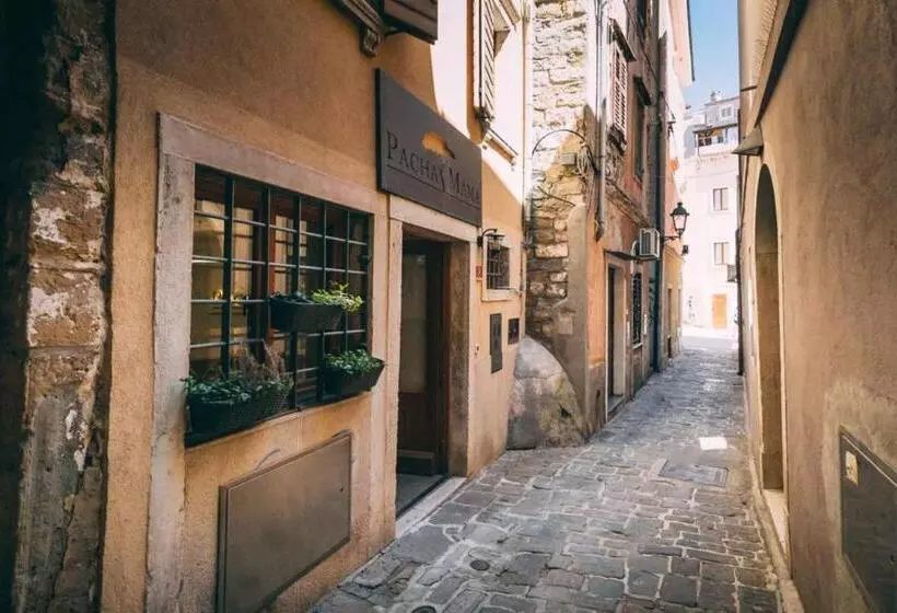 پانسیون Guest House Pachamama