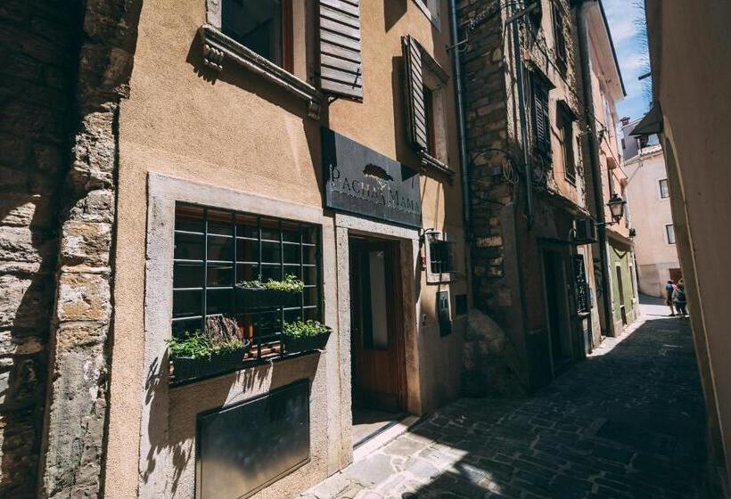 پانسیون Guest House Pachamama