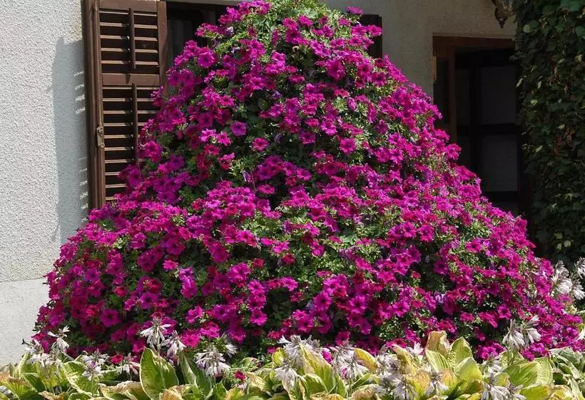 ペンション Guesthouse Pri štefanu