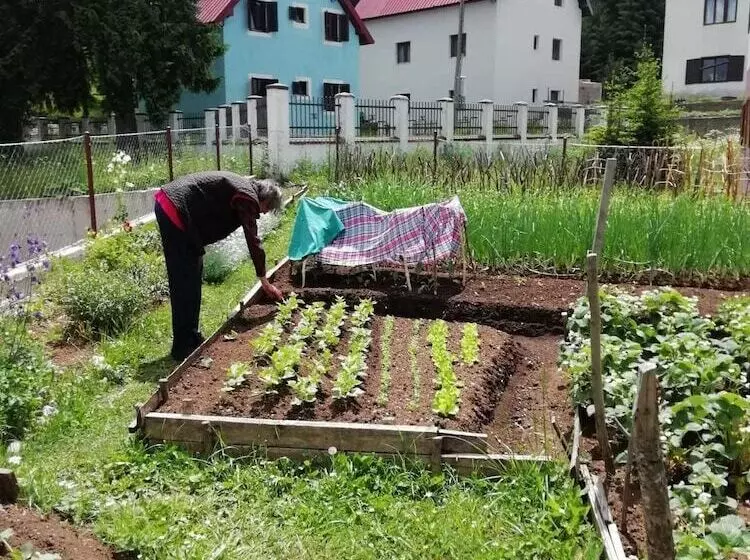 پانسیون Accommodation Konak