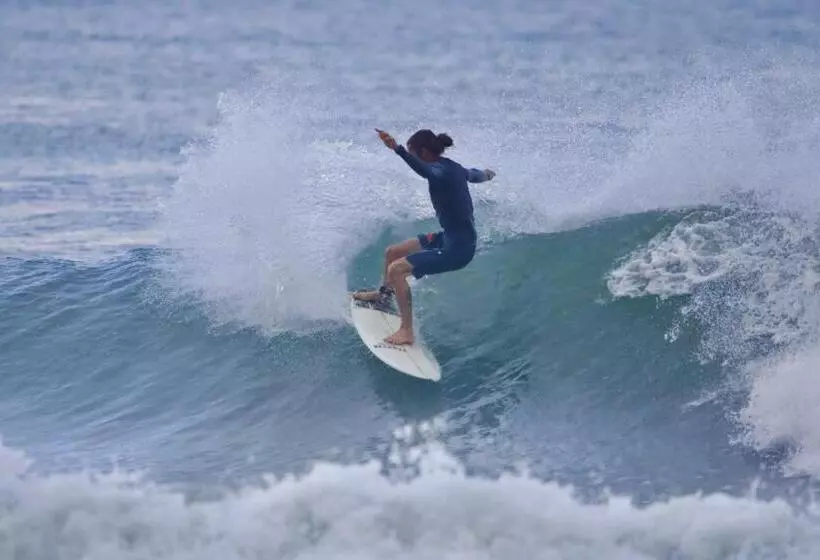 ペンション Cabinas Cahuita