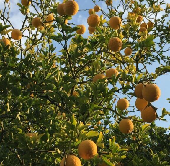 ペンション Eckhardt Vendégház