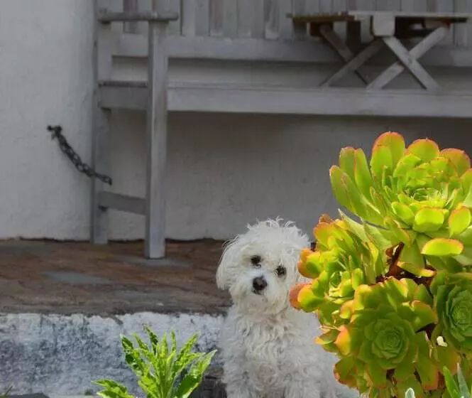 Majatalo Kaijaiki Country Inn And Restaurant