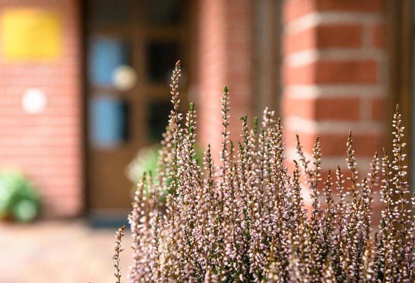 פנסיון Penzion Rondo