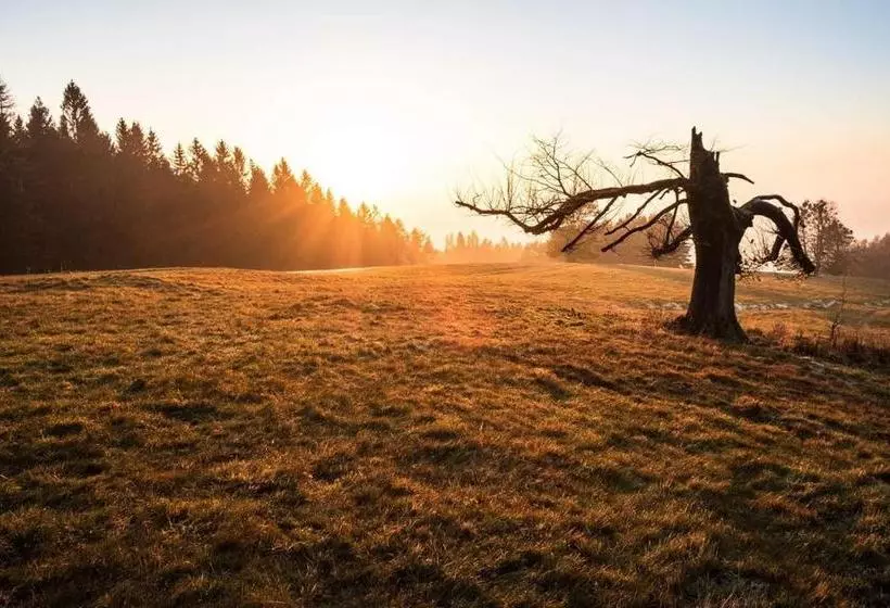 Majatalo Penzion Rondo
