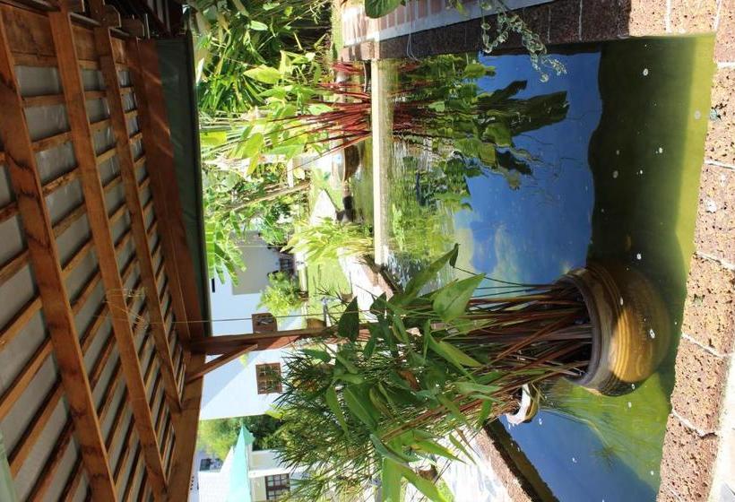 ペンション Villa Colina Khao Lak Rooms And Bungalows   Adults Only