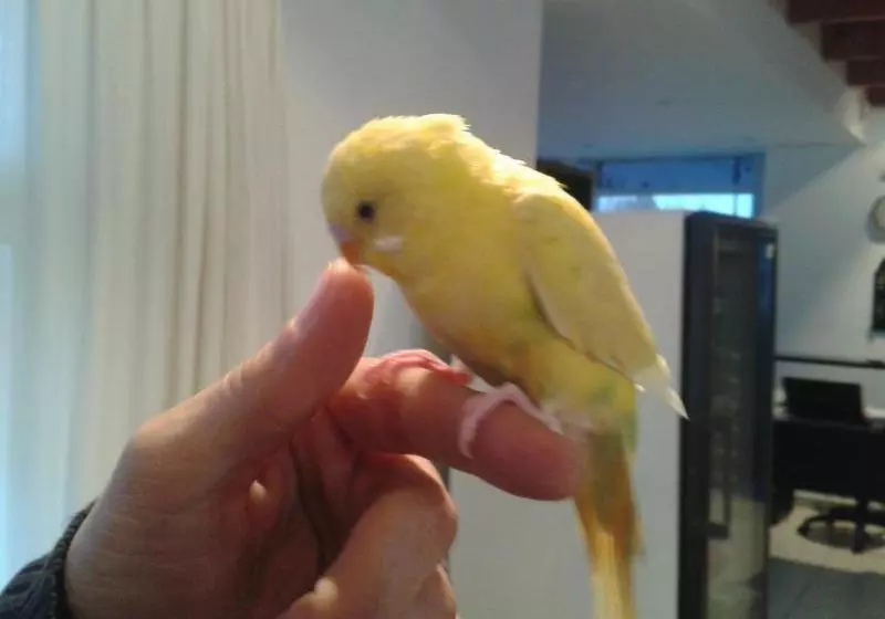 ユースホステル Hosteria Posada Drake