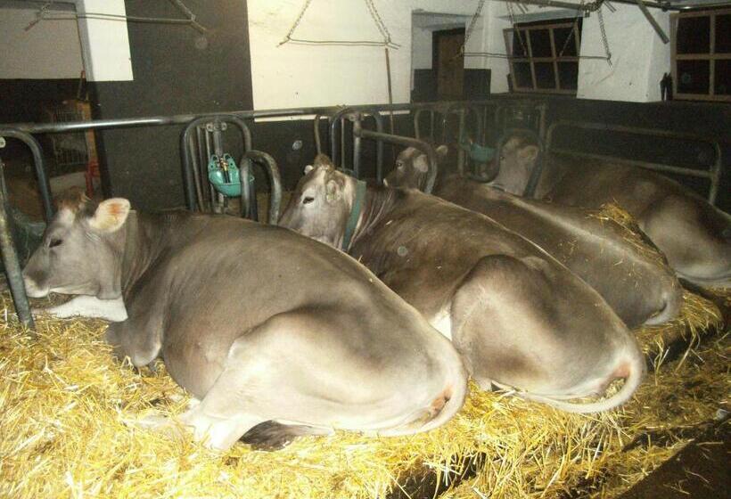 בית מלון כפרי Riemenerhof