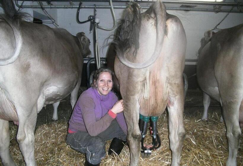 בית מלון כפרי Riemenerhof