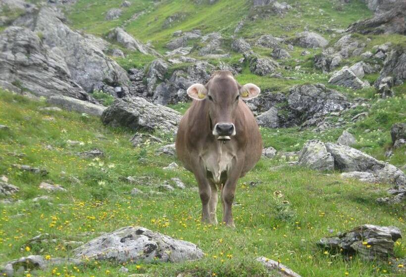 בית מלון כפרי Riemenerhof