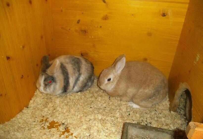 בית מלון כפרי Riemenerhof