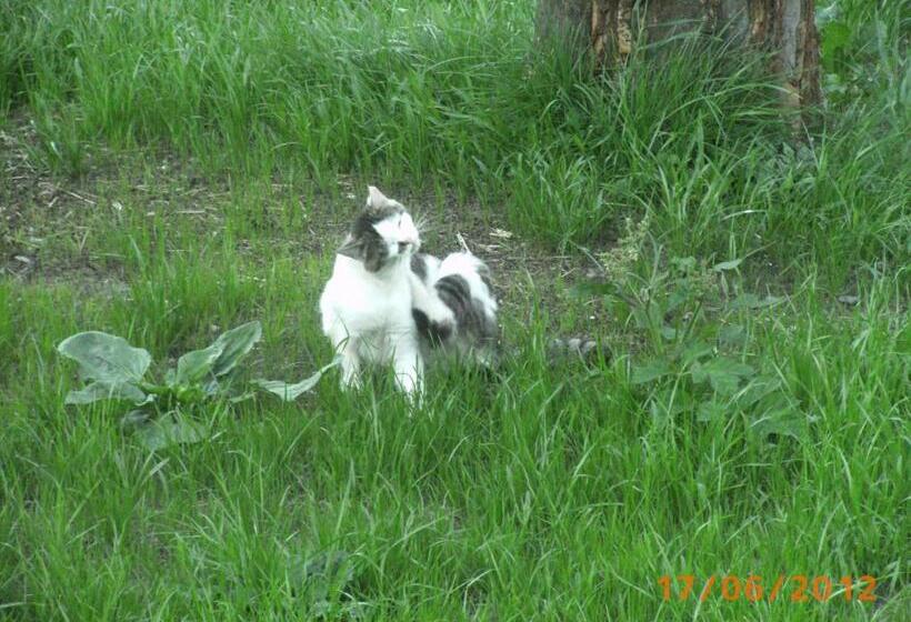 בית מלון כפרי Riemenerhof