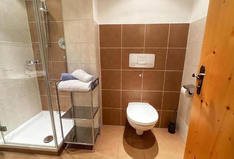 פנסיון Alte Schmiede