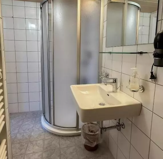 ペンション Alte Schmiede