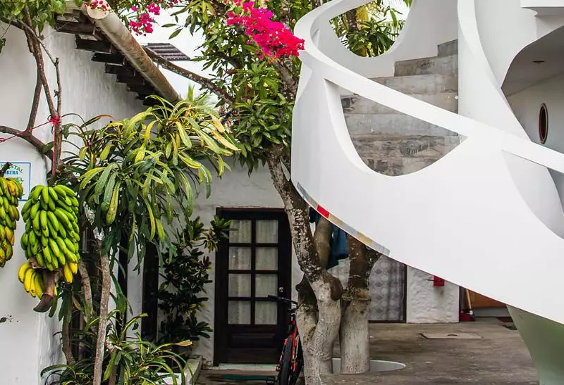 ペンション Gran Hostal Tintorera