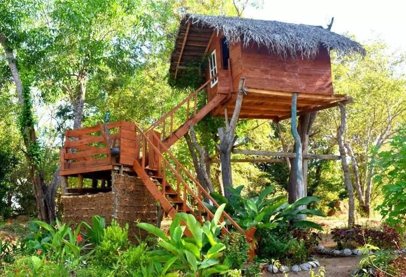 پانسیون Iora Resort Habarana
