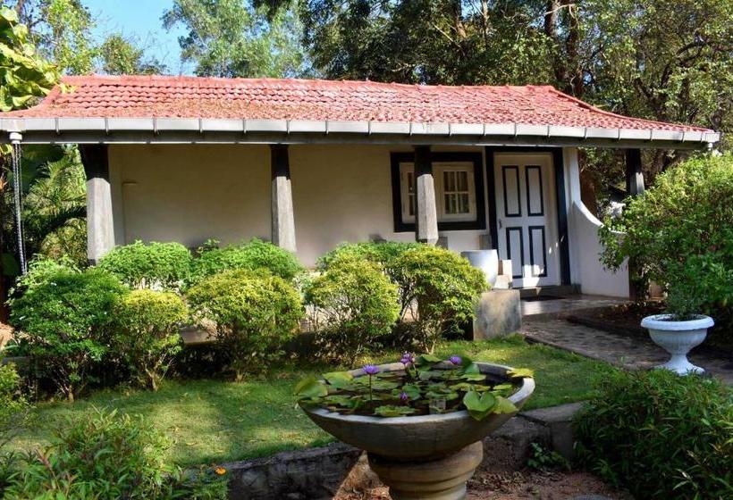 بنسيون Iora Resort Habarana